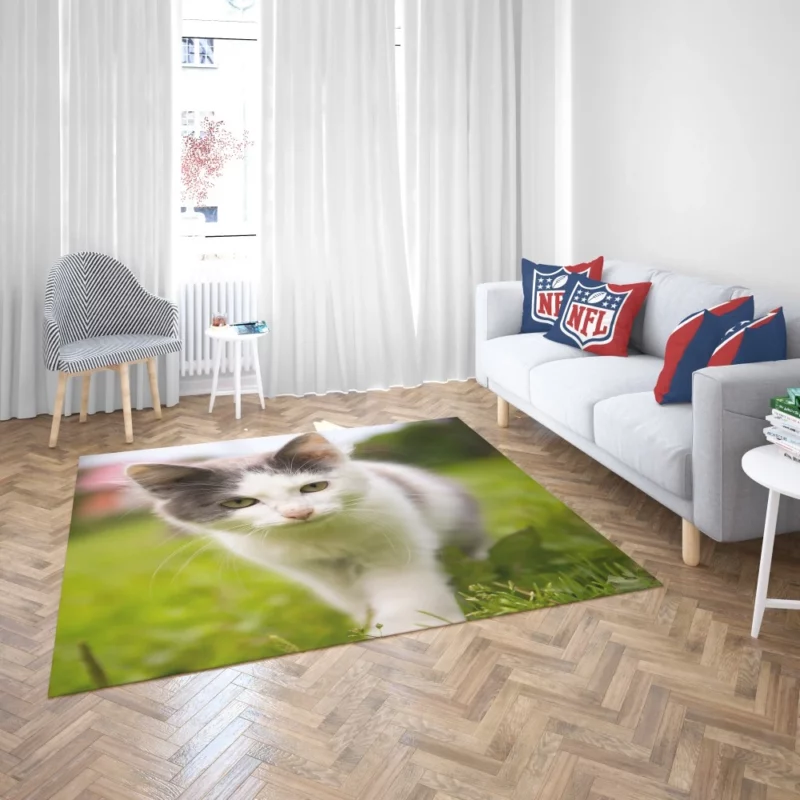 Baby Kitten Enigmatic Depth Rug 2