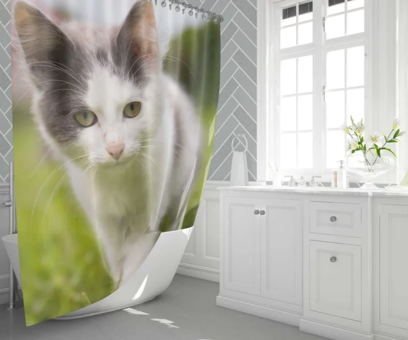 Baby Kitten Enigmatic Depth Shower Curtain 1