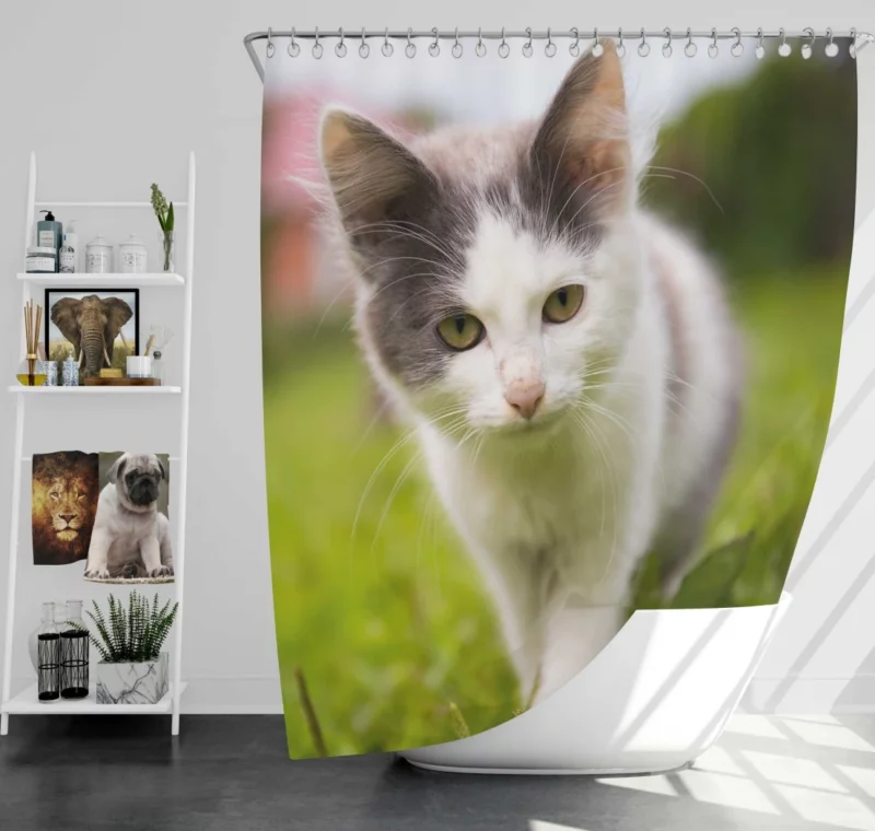 Baby Kitten Enigmatic Depth Shower Curtain