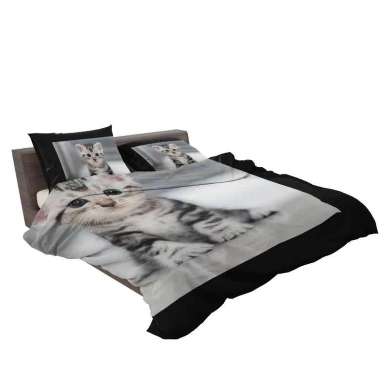 Baby Kitten Enigmatic Essence Bedding Set 2