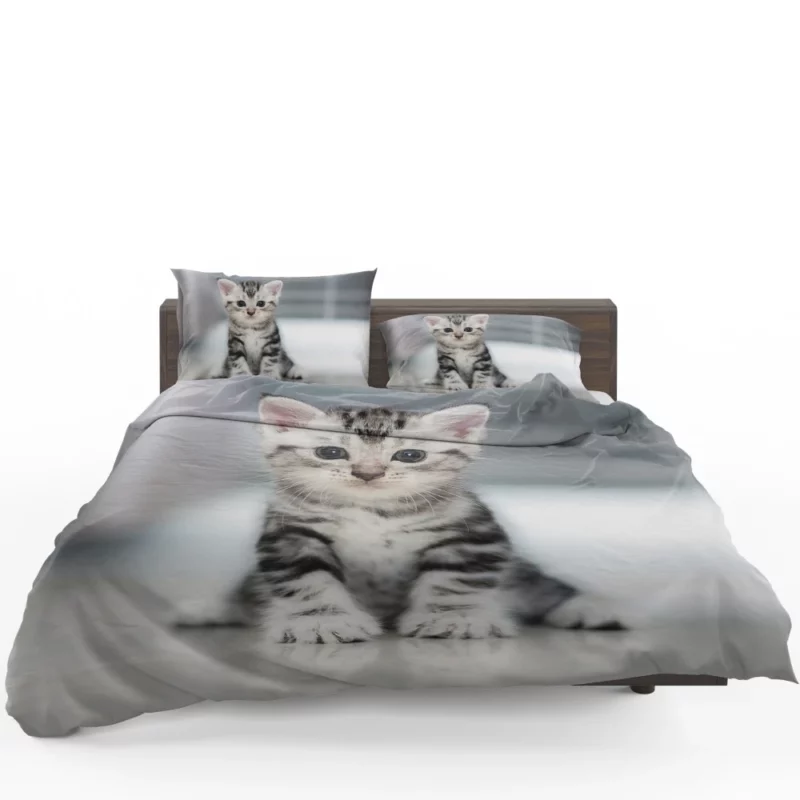 Baby Kitten Enigmatic Essence Bedding Set