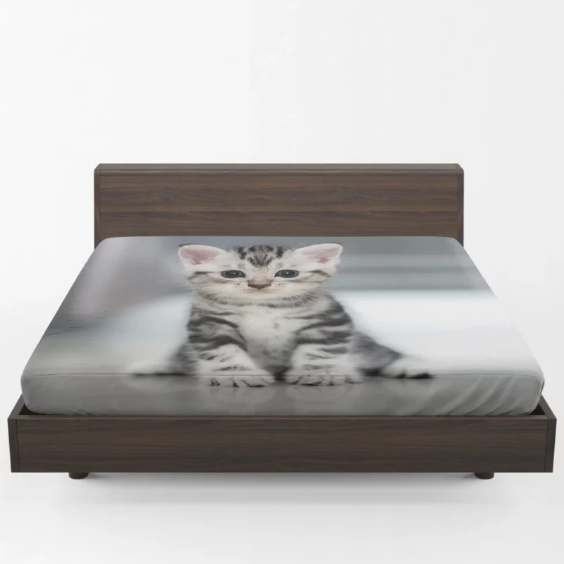 Baby Kitten Enigmatic Essence Fitted Sheet