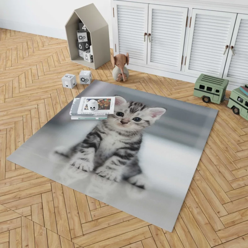 Baby Kitten Enigmatic Essence Rug 1