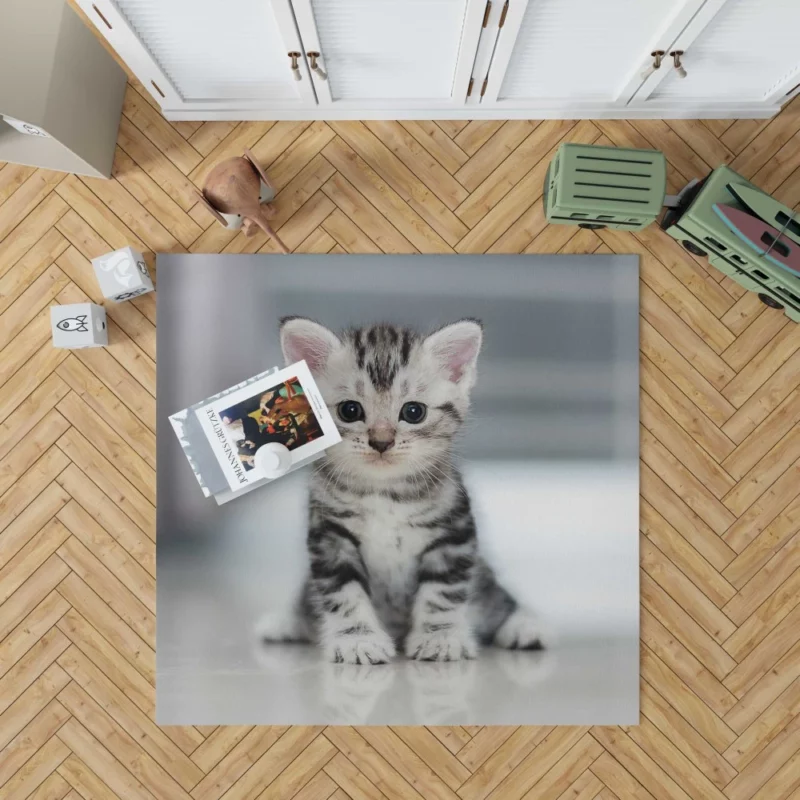 Baby Kitten Enigmatic Essence Rug