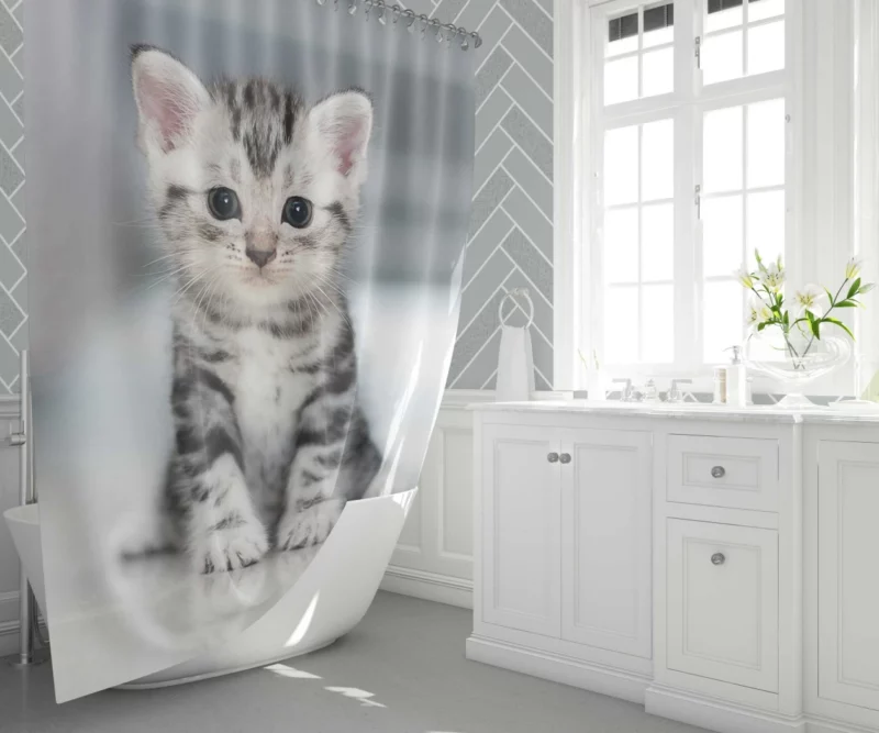 Baby Kitten Enigmatic Essence Shower Curtain 1