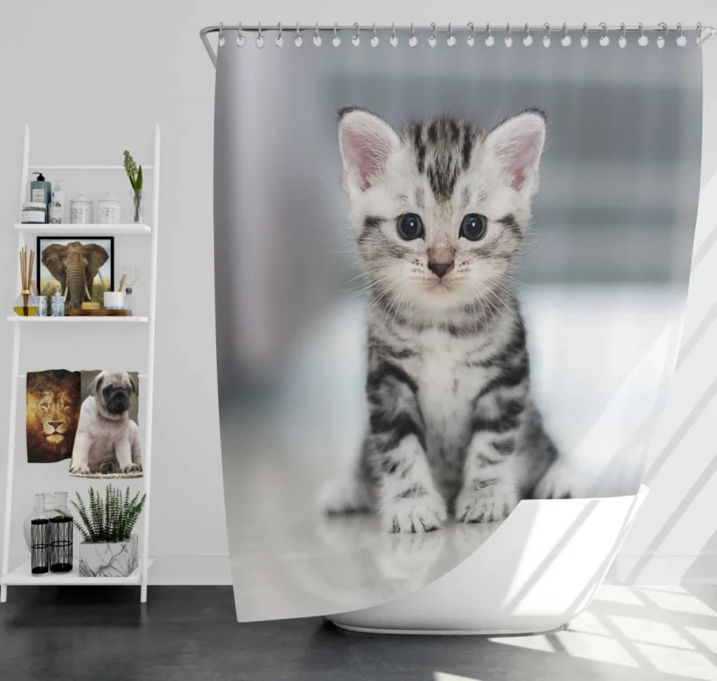 Baby Kitten Enigmatic Essence Shower Curtain