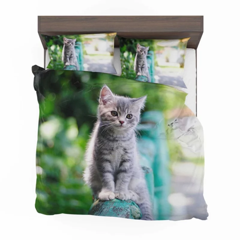 Baby Kitten Fence Perch Bedding Set 1