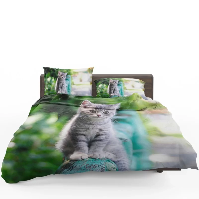 Baby Kitten Fence Perch Bedding Set