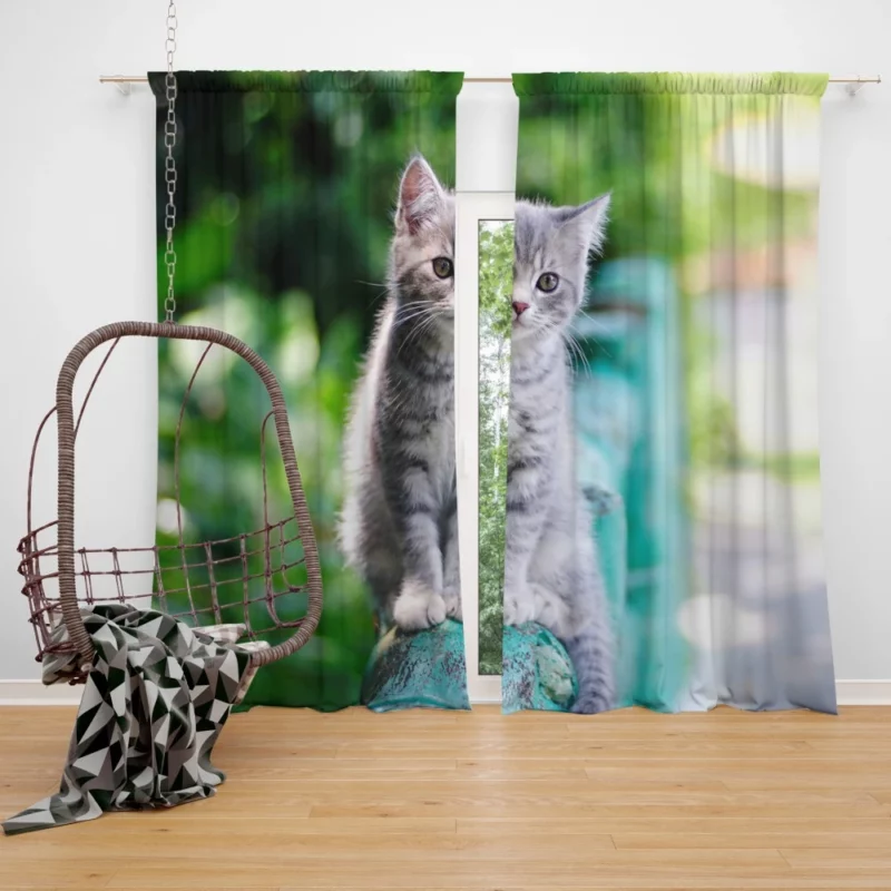 Baby Kitten Fence Perch Curtain