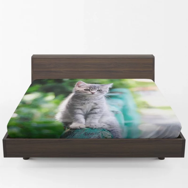 Baby Kitten Fence Perch Fitted Sheet