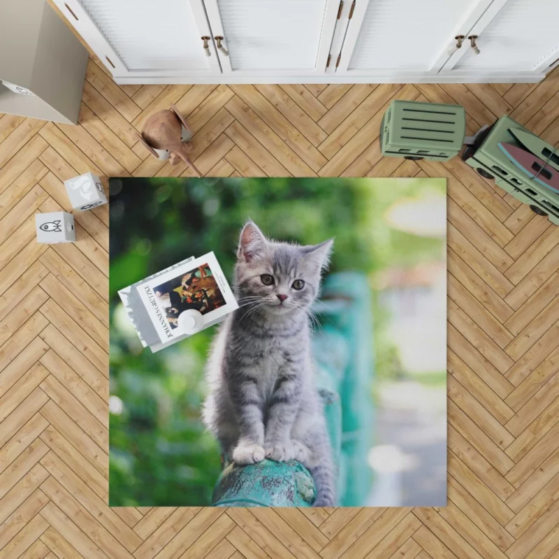 Baby Kitten Fence Perch Rug