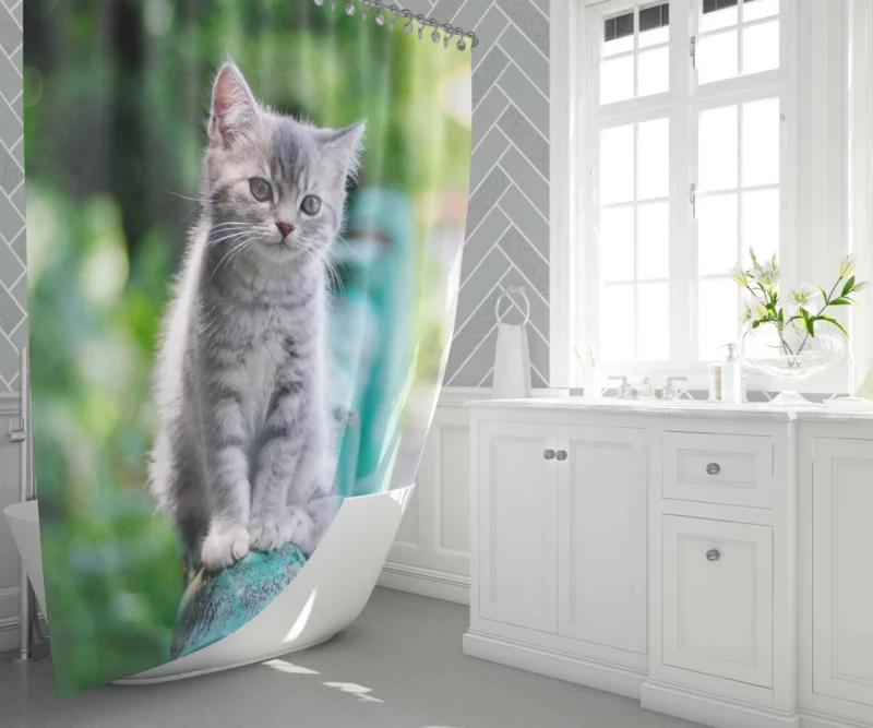 Baby Kitten Fence Perch Shower Curtain 1