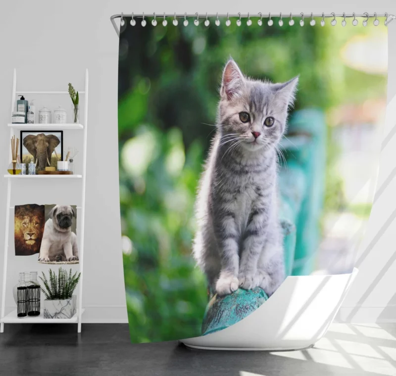 Baby Kitten Fence Perch Shower Curtain