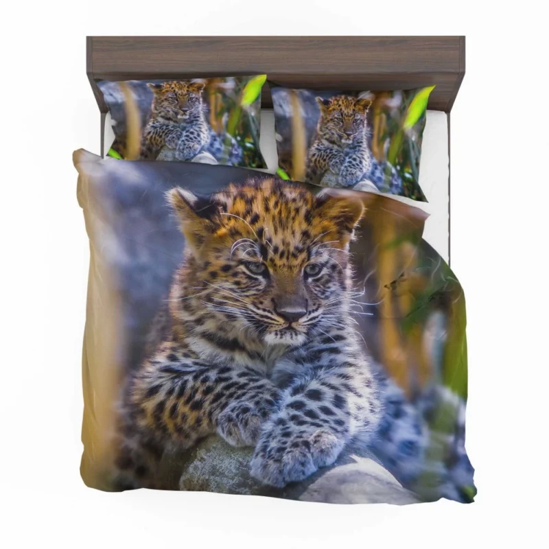 Baby Leopard Cub Playful Charm Bedding Set 1