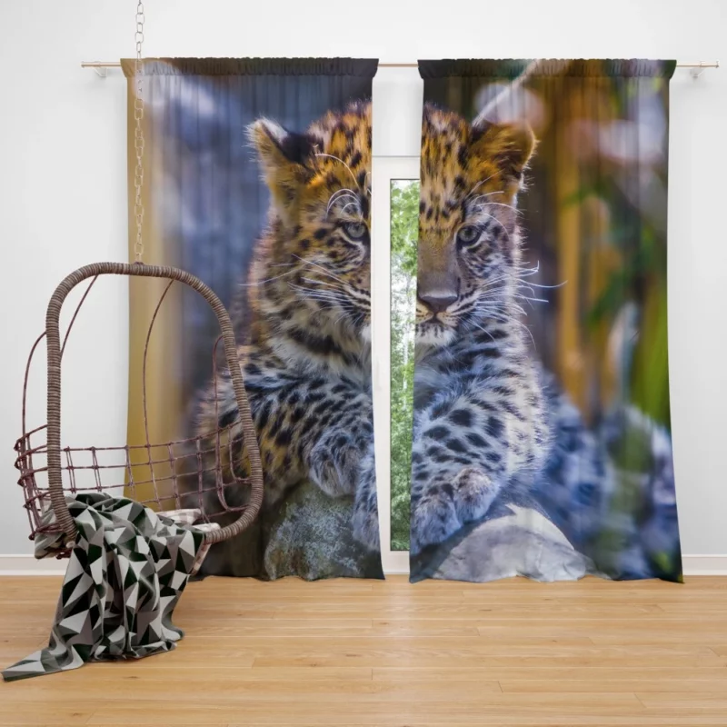 Baby Leopard Cub Playful Charm Curtain