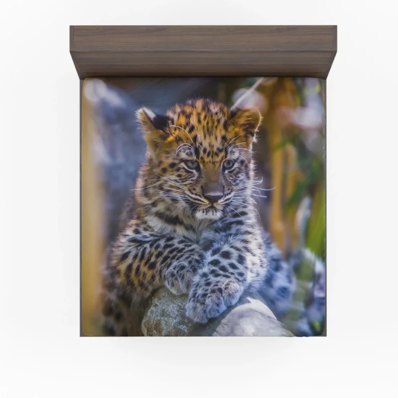 Baby Leopard Cub Playful Charm Fitted Sheet 1