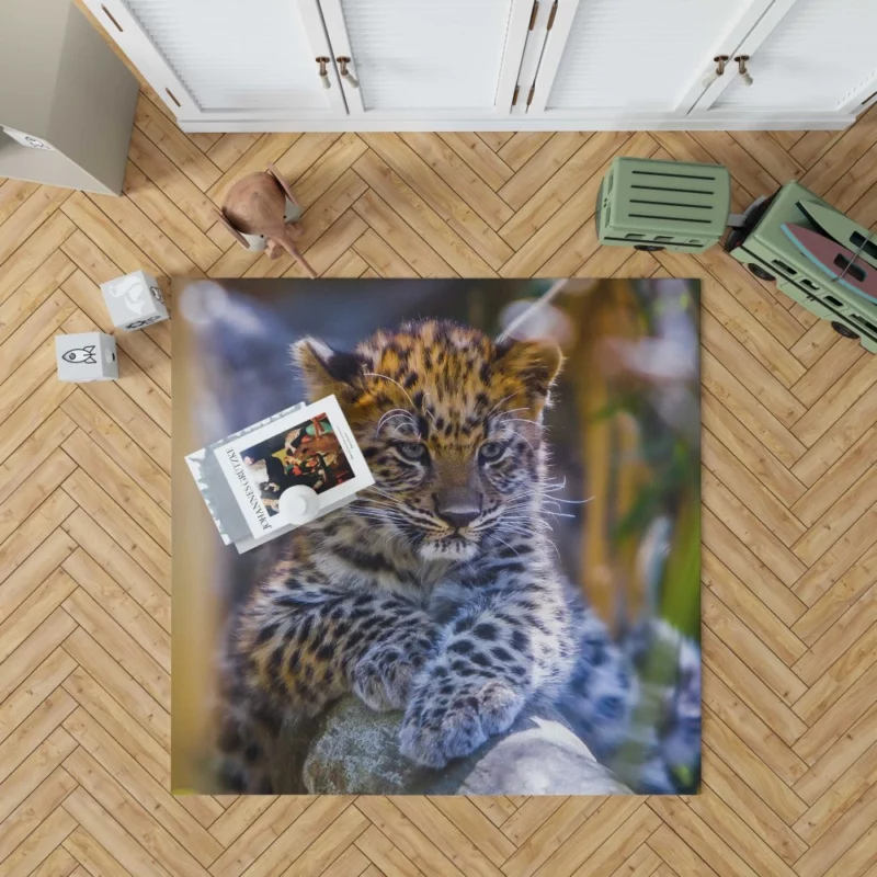 Baby Leopard Cub Playful Charm Rug