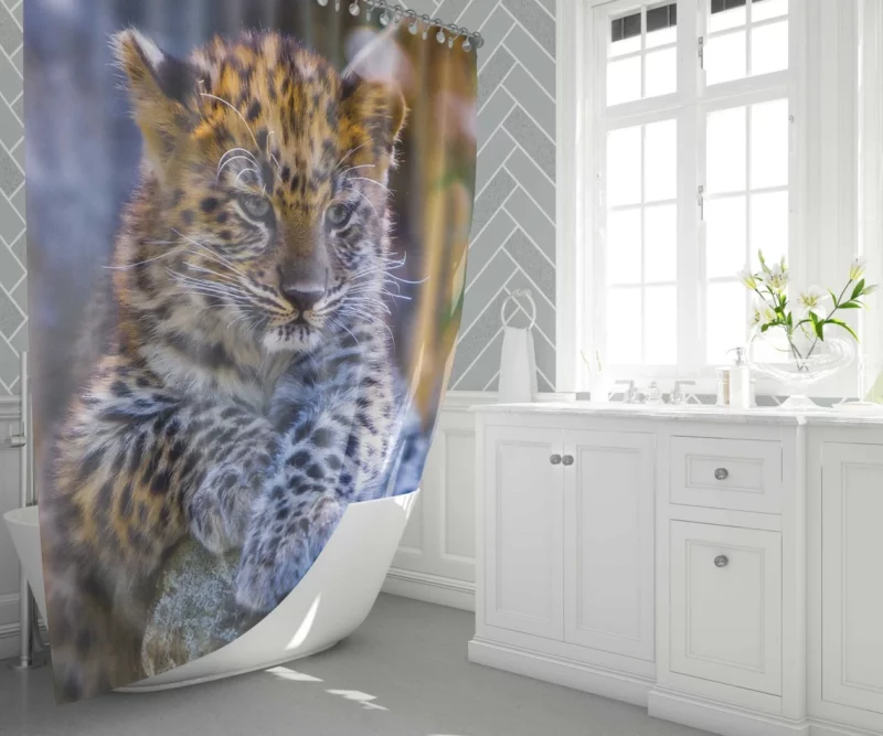 Baby Leopard Cub Playful Charm Shower Curtain 1