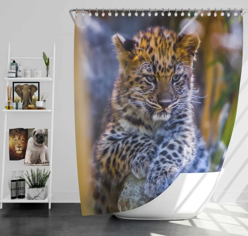 Baby Leopard Cub Playful Charm Shower Curtain