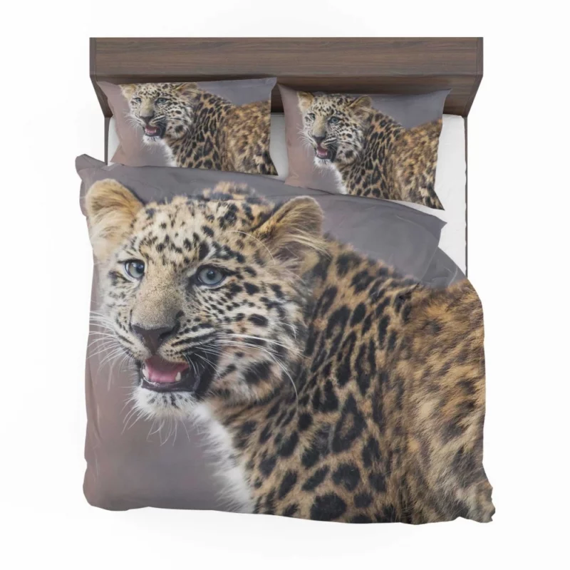 Baby Leopard Cub Playfulness Bedding Set 1