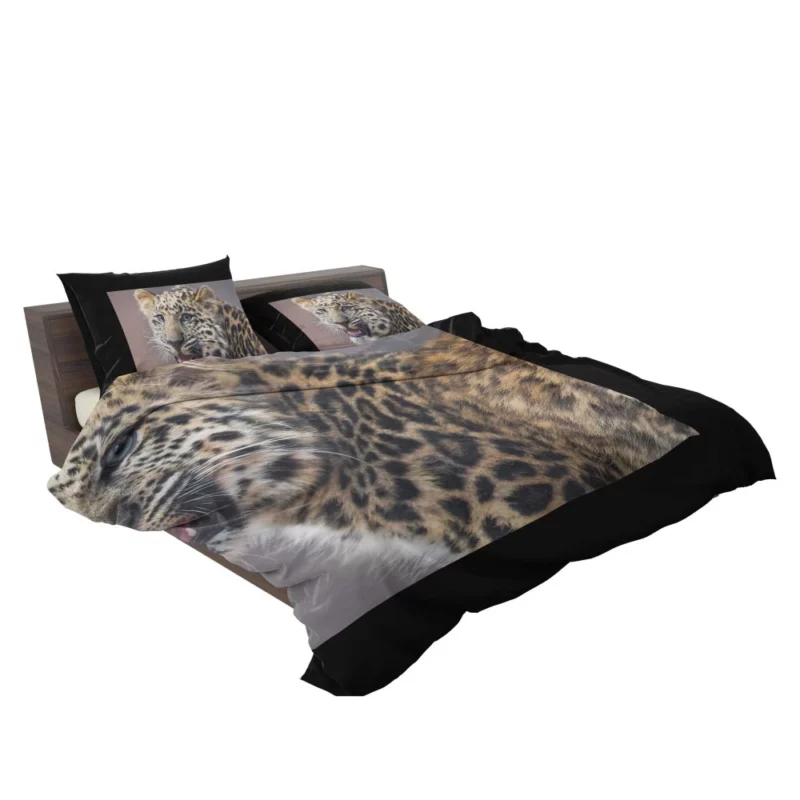 Baby Leopard Cub Playfulness Bedding Set 2