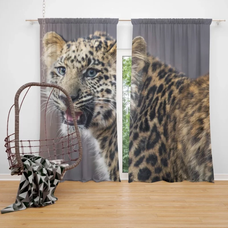 Baby Leopard Cub Playfulness Curtain