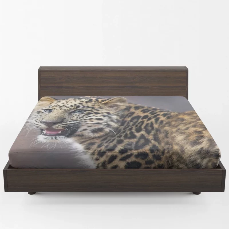 Baby Leopard Cub Playfulness Fitted Sheet