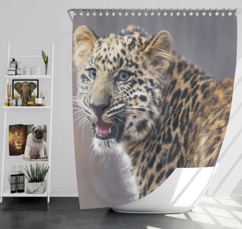 Baby Leopard Cub Playfulness Shower Curtain