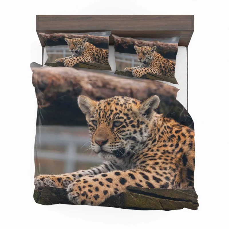 Baby Leopard Fierce Innocence Bedding Set 1