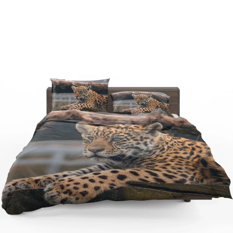 Baby Leopard Fierce Innocence Bedding Set