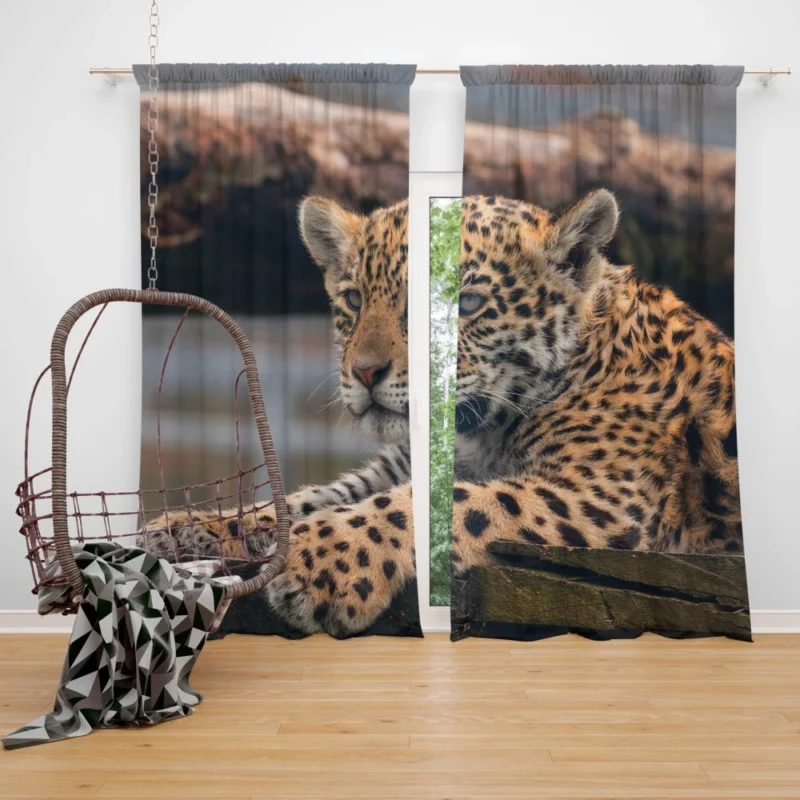 Baby Leopard Fierce Innocence Curtain