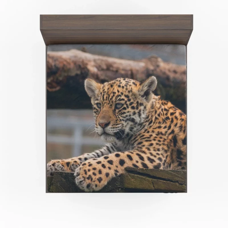 Baby Leopard Fierce Innocence Fitted Sheet 1