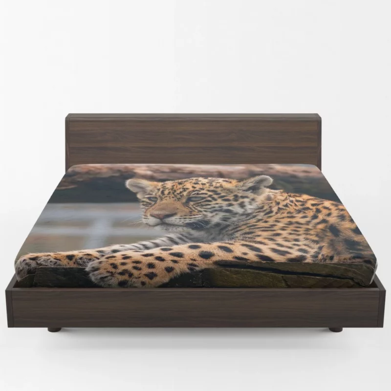 Baby Leopard Fierce Innocence Fitted Sheet