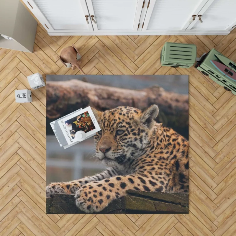 Baby Leopard Fierce Innocence Rug