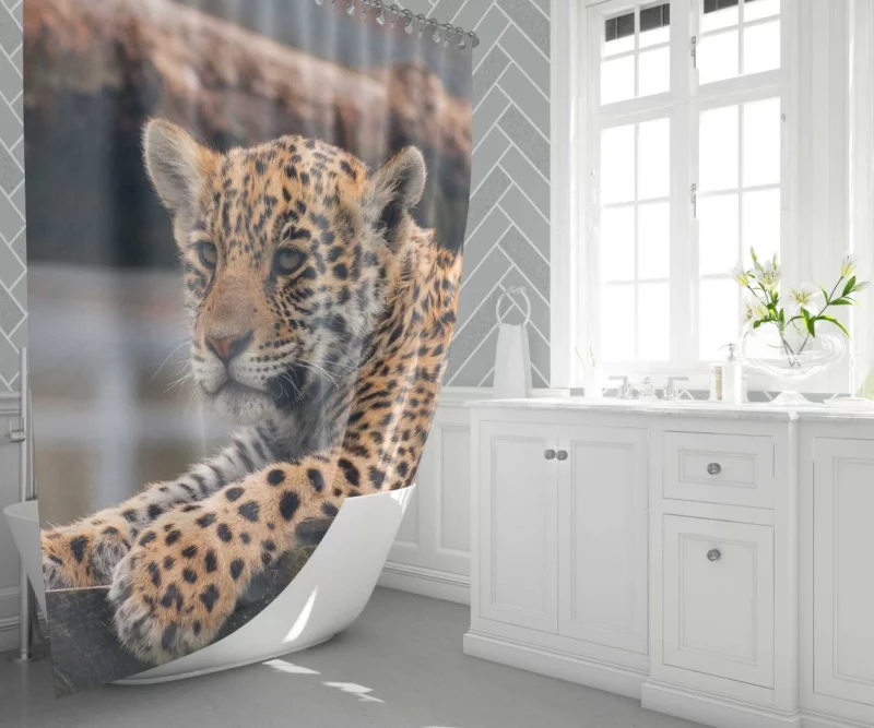 Baby Leopard Fierce Innocence Shower Curtain 1