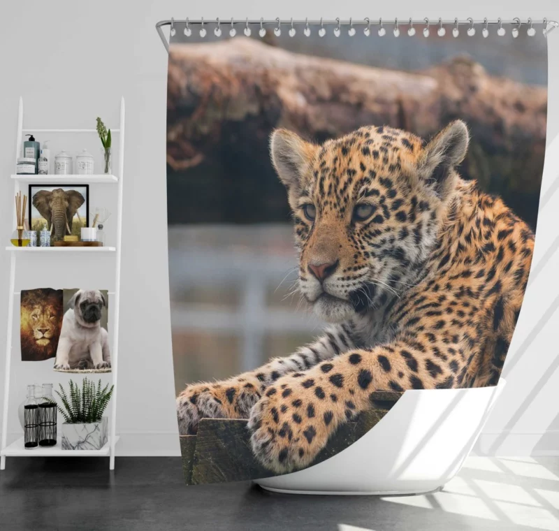 Baby Leopard Fierce Innocence Shower Curtain