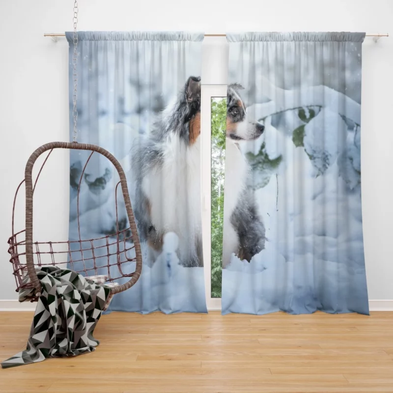 Baby Majesty African Elephant Curtain