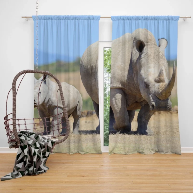 Baby Rhino Playful Adventure Curtain