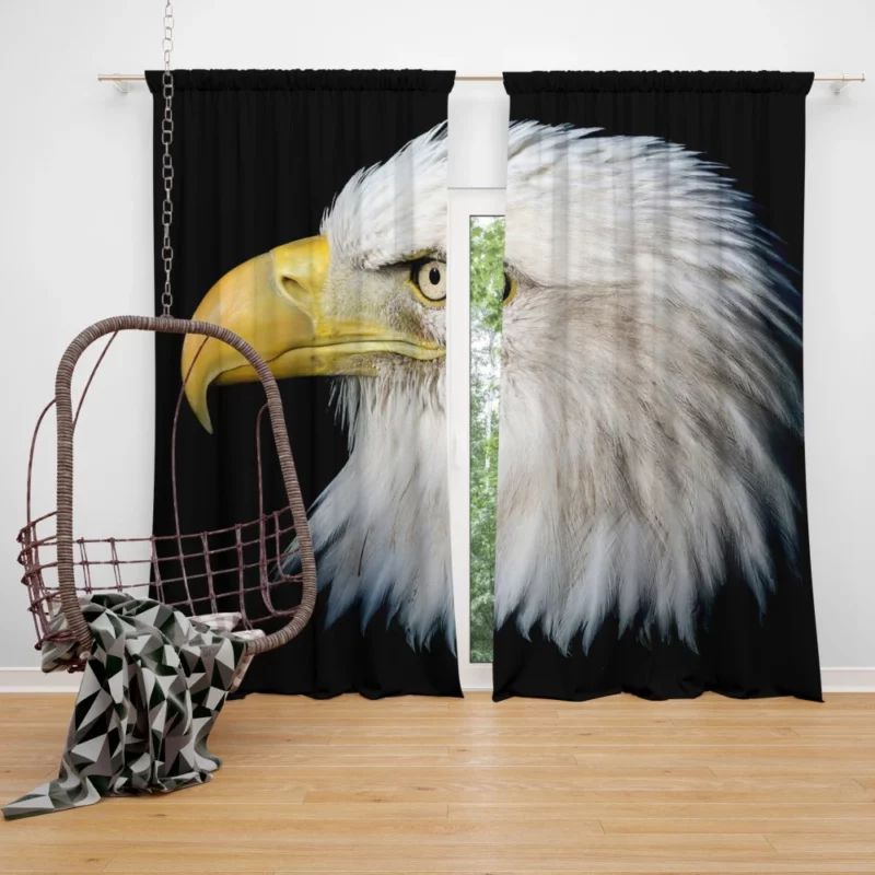 Bald Eagle Bird Curtain