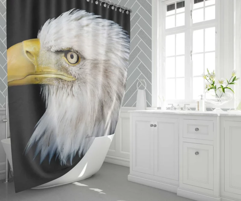 Bald Eagle Bird Shower Curtain 1