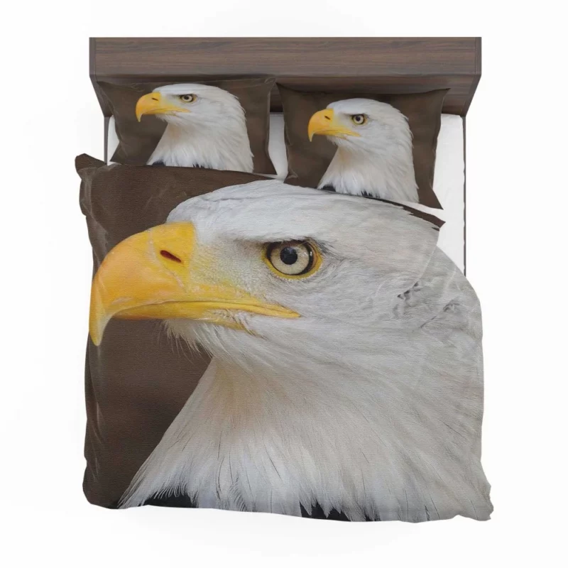 Bald Eagle Canvas Print Majestic Art Bedding Set 1