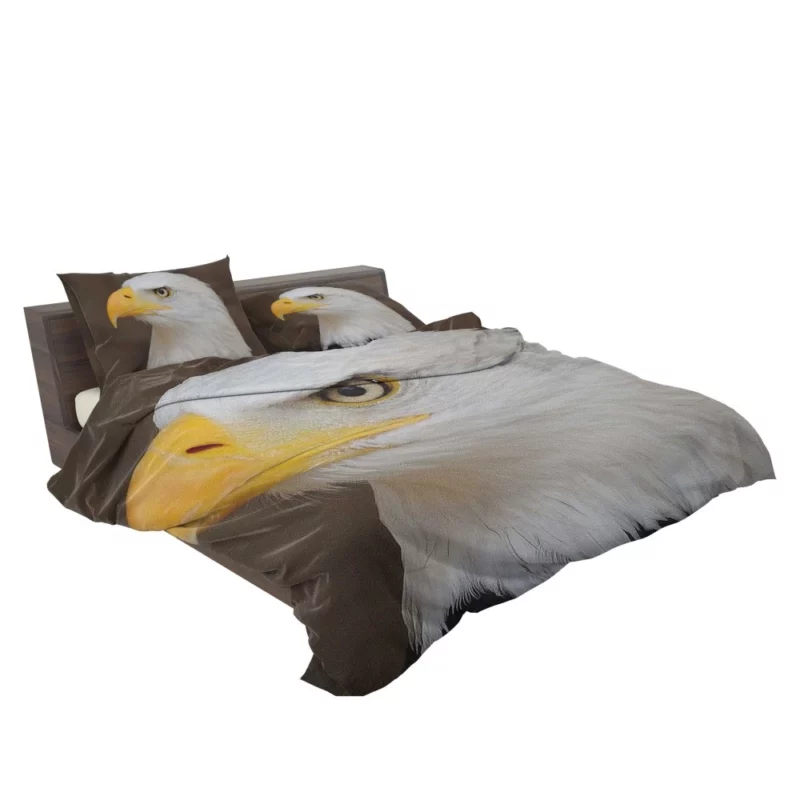 Bald Eagle Canvas Print Majestic Art Bedding Set 2