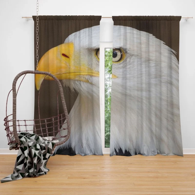 Bald Eagle Canvas Print Majestic Art Curtain