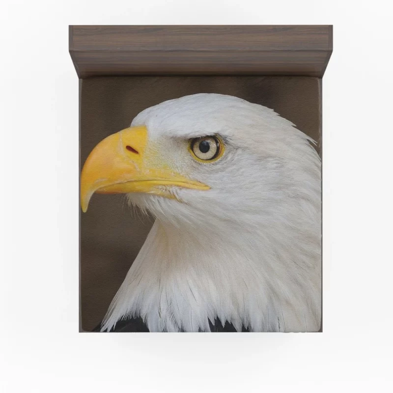 Bald Eagle Canvas Print Majestic Art Fitted Sheet 1