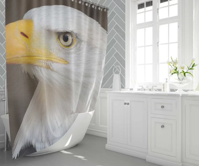 Bald Eagle Canvas Print Majestic Art Shower Curtain 1