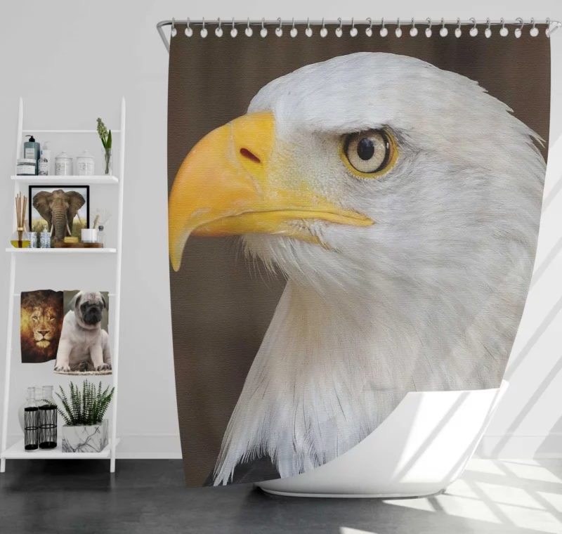 Bald Eagle Canvas Print Majestic Art Shower Curtain