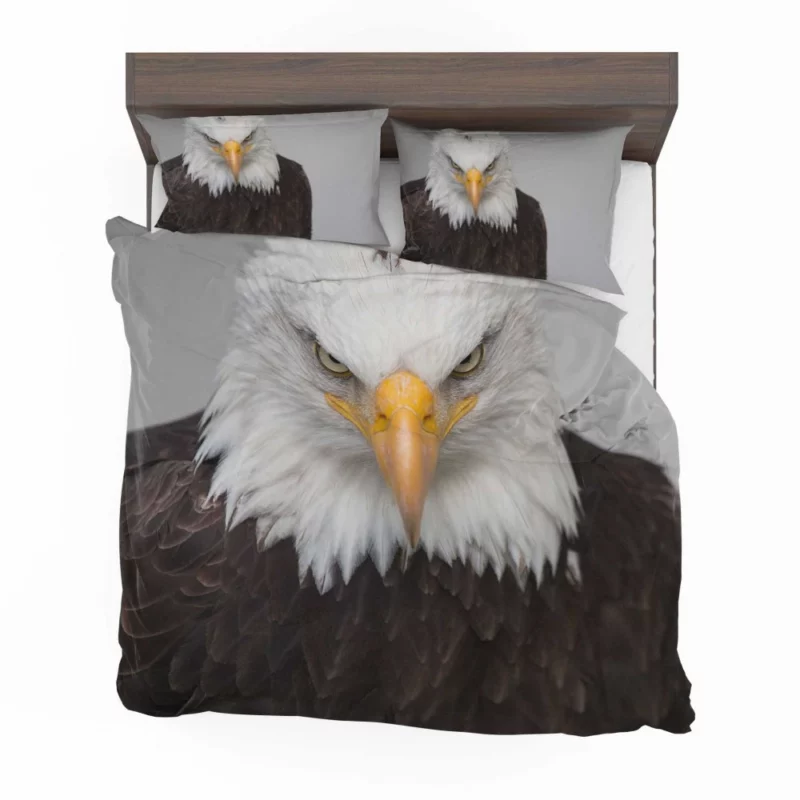 Bald Eagle Fierce Gaze Sky Hunter Bedding Set 1