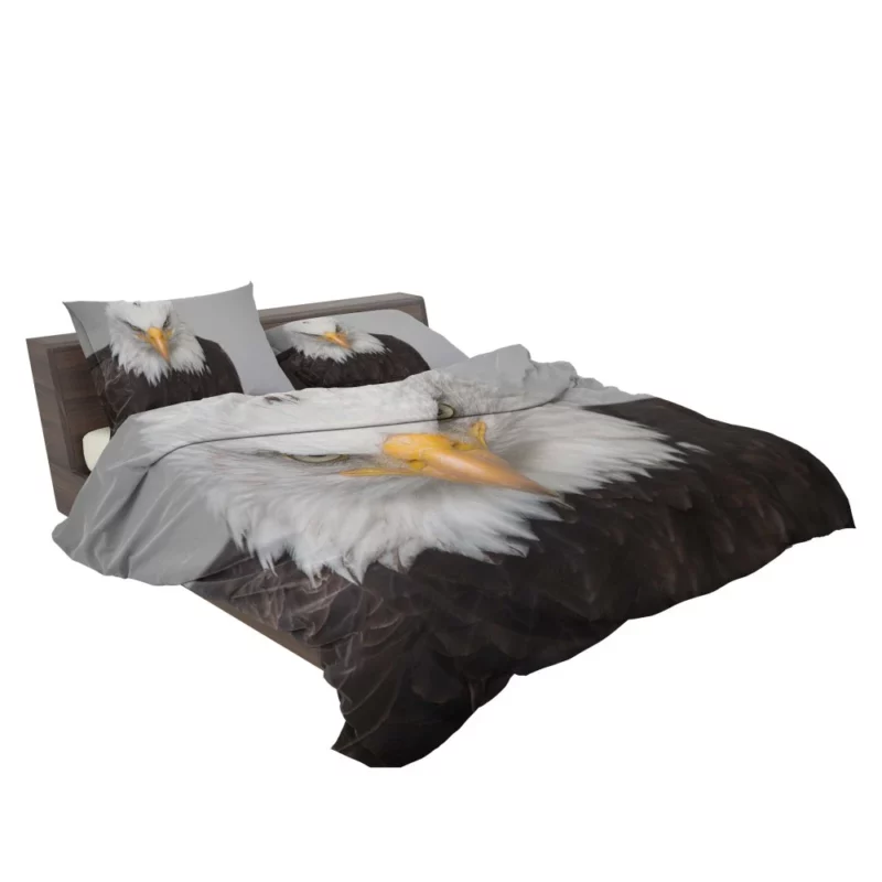 Bald Eagle Fierce Gaze Sky Hunter Bedding Set 2