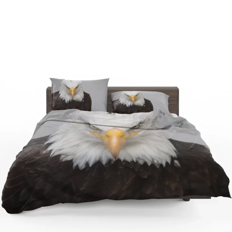 Bald Eagle Fierce Gaze Sky Hunter Bedding Set