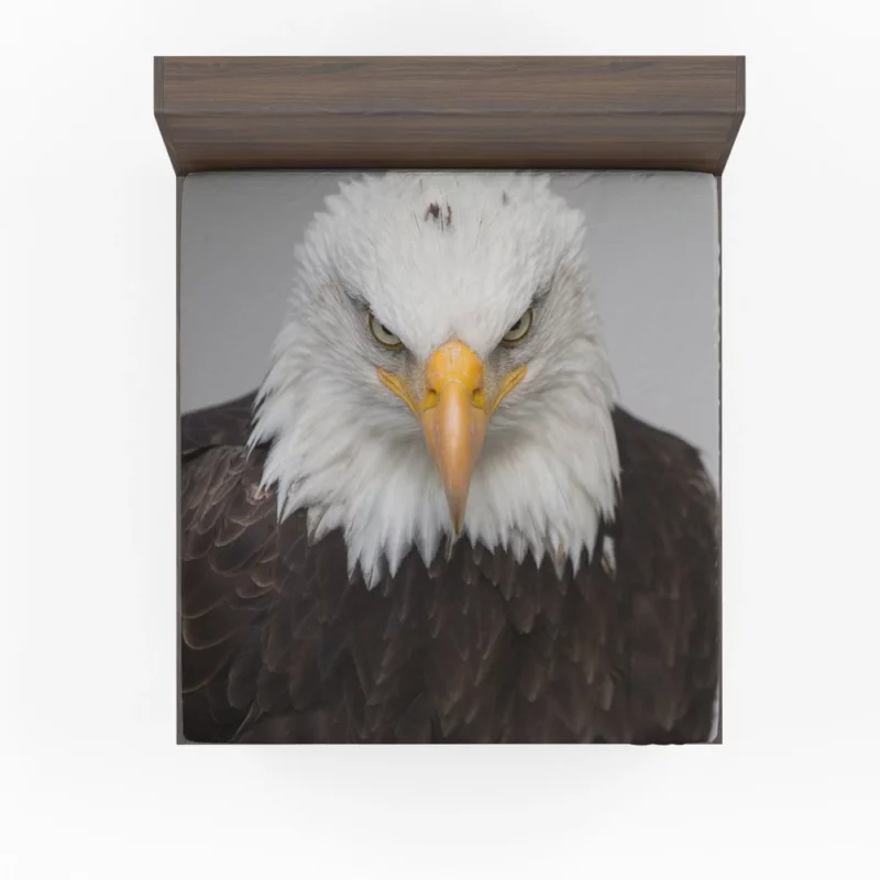 Bald Eagle Fierce Gaze Sky Hunter Fitted Sheet 1